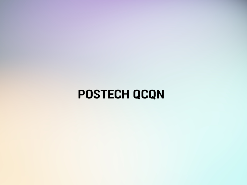 Quantum computing and quantum network